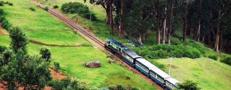 4. Mysore & Ooty Delight